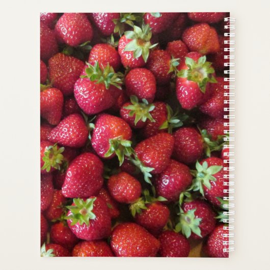 Planner - zomeraardbeien (Achterkant)