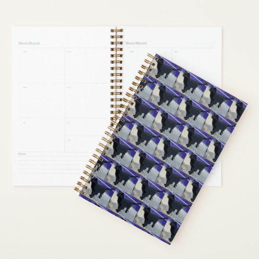 Planner Zwarte Kat (Display)