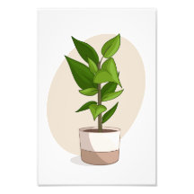 Plant 1 in Vector Poster Print van My Sims CC