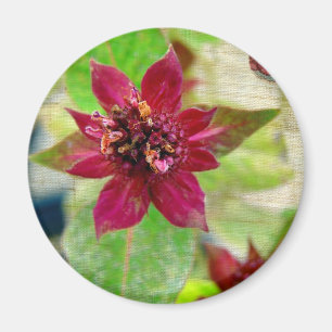  PLANT 2 MAGNEET
