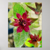  PLANT 2 POSTER (Voorkant)