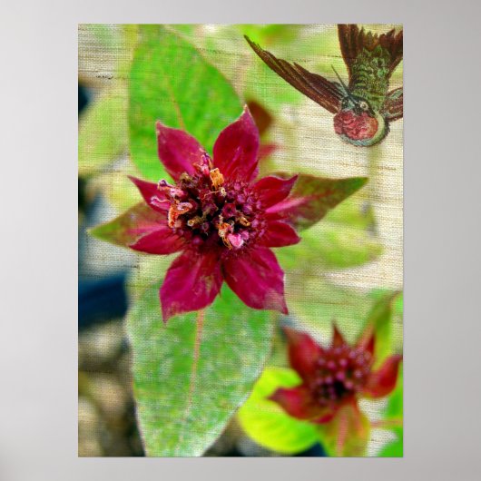 PLANT 2 POSTER (Voorkant)