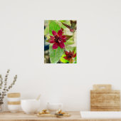 PLANT 2 POSTER (Keuken)