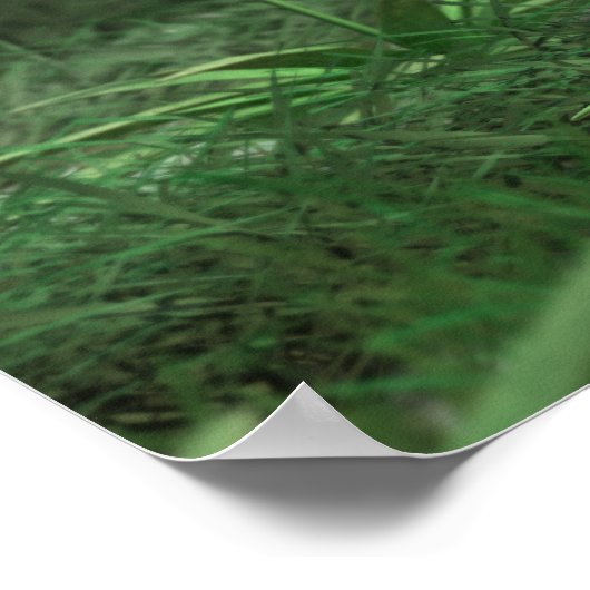 PLANT 3 POSTER (Hoek)