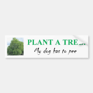 PLANT A TREE BUMPERSTICKER