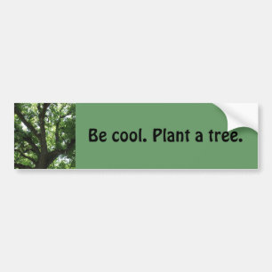 "Plant A Tree"-Bumpersticker Bumpersticker