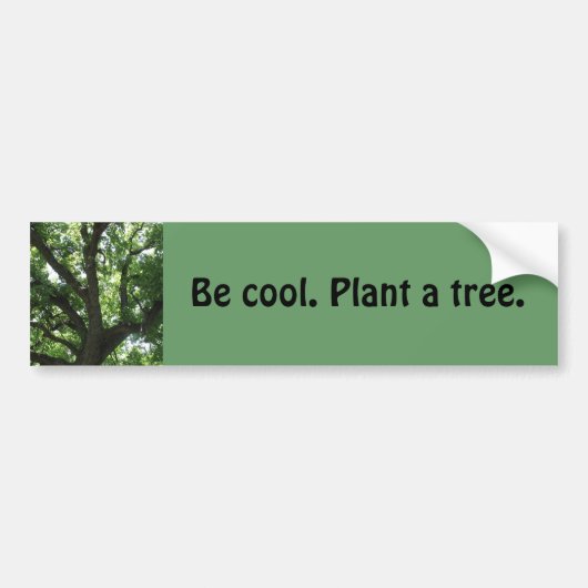 "Plant A Tree"-Bumpersticker Bumpersticker (Voorkant)
