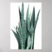 Plant Acrylverf Poster (Voorkant)
