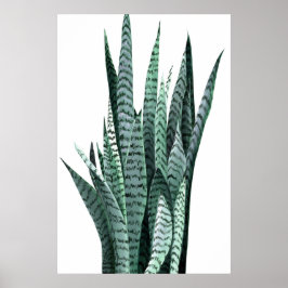 Plant Acrylverf Poster