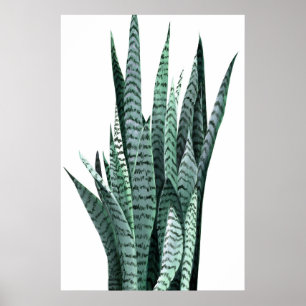 Plant Acrylverf Poster
