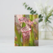 Plant - als toonaangevend plant briefkaart (Staand voorkant)