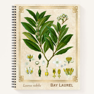  Plant Bay Laurel Herbal Notitieboek