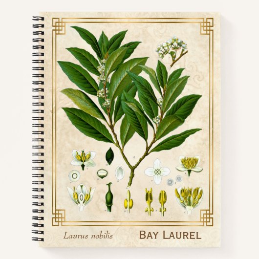  Plant Bay Laurel Herbal Notitieboek (Voorkant)