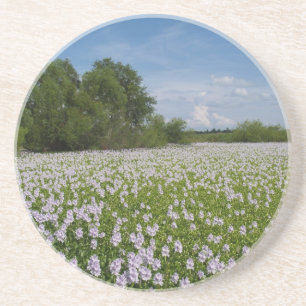 Plant/Bloem reeks-Bloemen op het Onderzetter van d