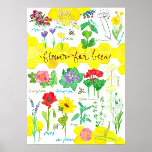 Plant bloemen voor de Waterverf van bijen honingra Poster (Voorkant)