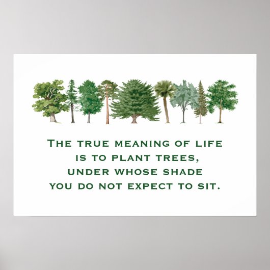 Plant bomen Betekenis van het Gezegde B van het Le Poster (Voorkant)