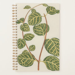 Plant Botanic mama papa Planner