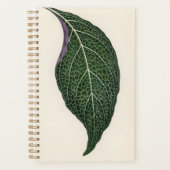 Plant Botanic mama papa Planner (Voorkant)