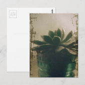 Plant Briefkaart (Voorkant / Achterkant)