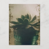 Plant Briefkaart (Voorkant)