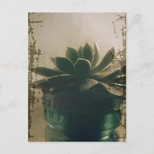 Plant Briefkaart (Voorkant)