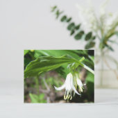 Plant Briefkaart (Staand voorkant)