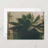 Plant Briefkaart (Voorkant / Achterkant)