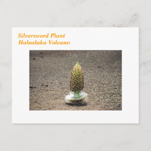 plant briefkaart