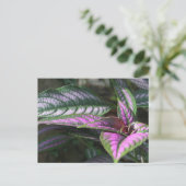 Plant briefkaart (Staand voorkant)