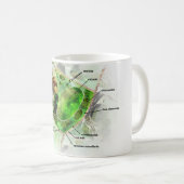 plant cel koffiemok (Voorkant rechts)
