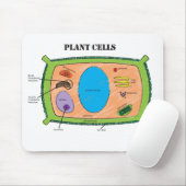Plant celdiagram muismat (Met muis)