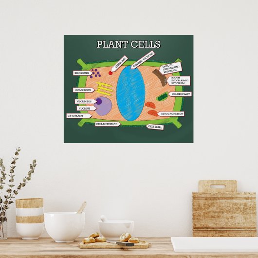 Plant cellen *UPDATED* Poster (Keuken)
