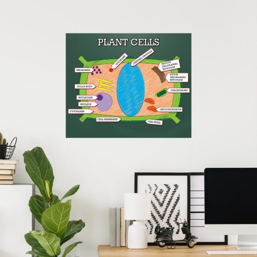 Plant cellen *UPDATED* Poster (Thuiskantoor)