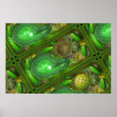 Plant Cells poster (Voorkant)
