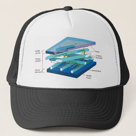 Plant celwanddiagram trucker pet (Voorkant)