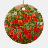 Plant Chinese lantaarn Keramisch Ornament (Achterkant)