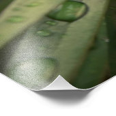 Plant close-up foto afdruk (Hoek)
