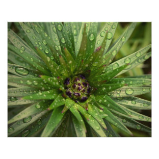 Plant close-up foto afdruk