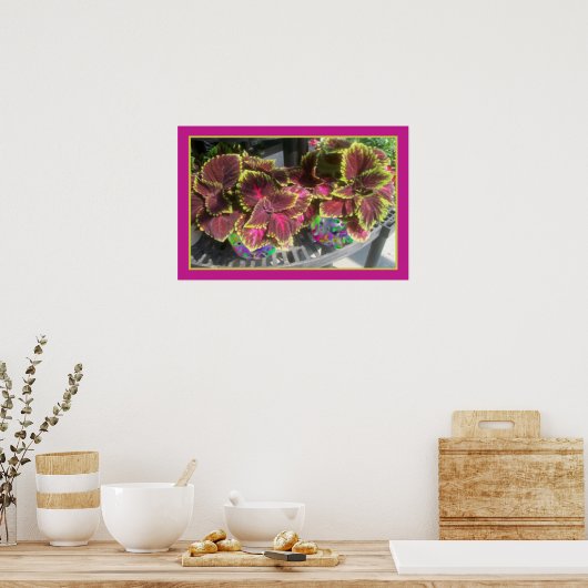 Plant Coleus Poster (Keuken)