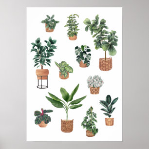 Plant Collectie 3 Poster
