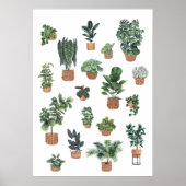 PLANT COLLECTIE 6 POSTER (Voorkant)