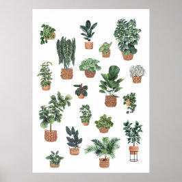 PLANT COLLECTIE 6 POSTER
