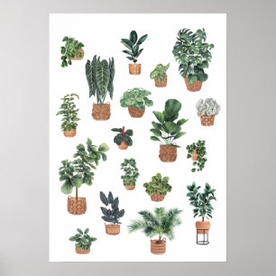 PLANT COLLECTIE 6 POSTER