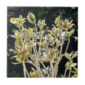 Plant Cuba Tegeltje (Voorkant)