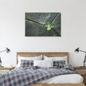 Plant dat in de boulder groeit canvas afdruk (Insitu (Slaapkamer))