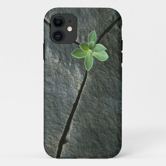 Plant dat in de boulder groeit Case-Mate iPhone case (Achterkant)