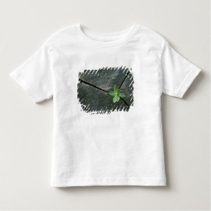 Plant dat in de boulder groeit kinder shirts