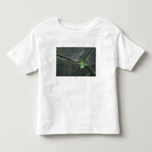 Plant dat in de boulder groeit kinder shirts