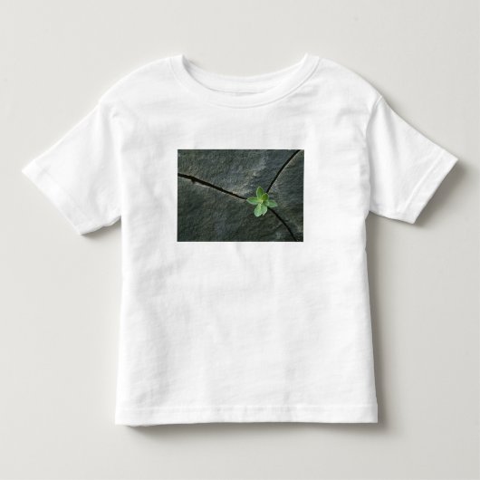Plant dat in de boulder groeit kinder shirts (Voorkant)