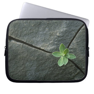 Plant dat in de boulder groeit laptop sleeve